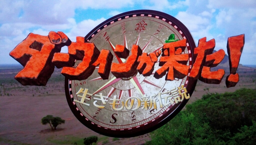 砂漠のライオン 和歌山田辺市・嵐助産院の院長ブログ
